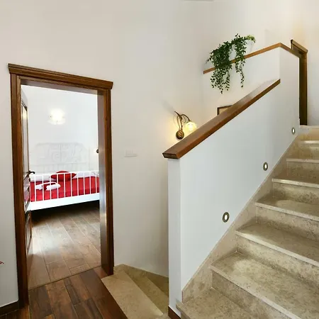 Emilia * 비지나다