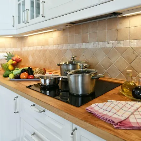 别墅 Emilia Vižinada